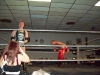 TCW Night of Champions